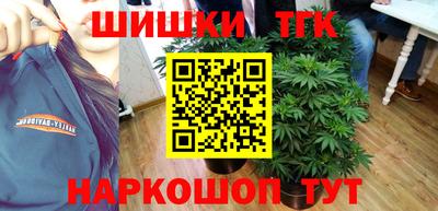 a pvp Можга